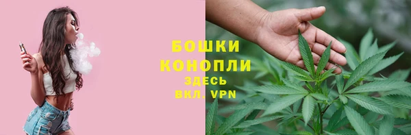 амф Богородск